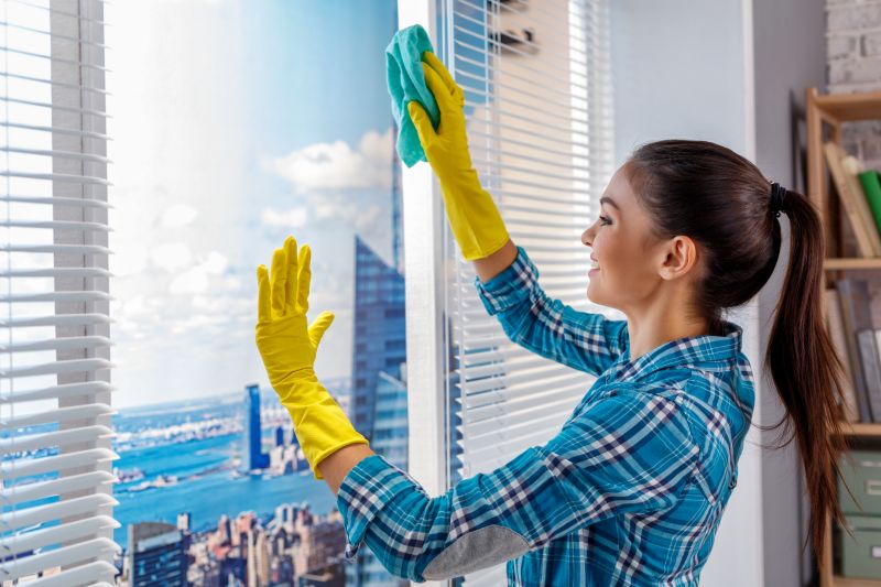 Condo Window Cleaning