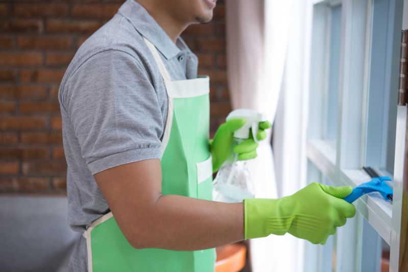 Home Window Cleaning detail