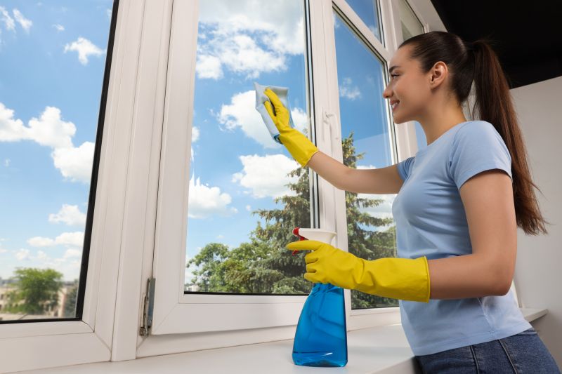 Home Window Cleaning detail