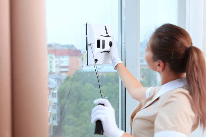 Hotel Window Cleaning